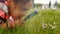 Cute little girl with a magnifying glass in the park looking at the grass