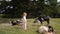 Cute little girl observing a group of goats