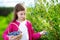 Cute little girl picking fresh berries on organic blueberry farm