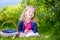 Cute little girl picking fresh berries on organic blueberry farm