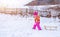 Cute little girl in pink clothes pulls a sleigh in the snow