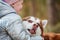 Cute little girl in pink hat and light blue jacket hugs Siberian Husky dog with stuck out tongue