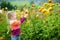 Cute little girl playing in blossoming dahlia field. Child picking fresh flowers in dahlia meadow on sunny summer day