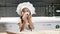 Cute little girl playing in domestic kitchen. Dough, flour and rolling pin on table. Children act like adults. Funny