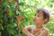 Cute little girl plucks cherries in the garden