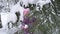 A cute little girl in a purple jumpsuit and a pink hat shakes snow off the fir branches