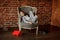 Cute little girl reclines in chair with a wistful look.