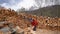 Cute little girl in a red jacket stacks firewood outdoors. Child helps with the chore of stacking firewood.