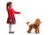 Cute little girl with a red poodle dog on a leash