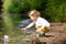 Cute little girl runs a paper boat in the stream