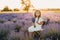 Cute Little Girl Sit on Colorful Lavender Field