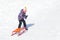 Cute little girl sliding on a sled on snow