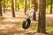 Cute little girl swinging on wheel attached to big tree in forest.