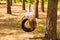 Cute little girl swinging on wheel attached to big tree in forest.