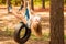 Cute little girl swinging on wheel attached to big tree in forest.