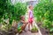 Cute little girls collect crop cucumbers in the