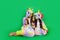 Cute little girls in unicorn carnival costumes on a green isolated background eat large lollipops. Space for text. holiday concept