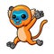 Cute little golden monkey cartoon running