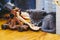 Cute little grey kitten sleeping among kid`s toys