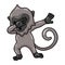 Cute little grey langur monkey cartoon dancing