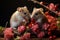 Cute Little Hamsters Eating Red Berry on a Tree Branch with Beautiful Pink Flower