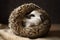 A cute little hedgehog curled up in a ball Generative AI