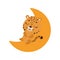 Cute little jaguar sleeping on moon. Cartoon animal character for kids t-shirt, nursery decoration, baby shower
