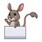 Cute little jerboa cartoon with blank sign