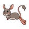 Cute little jerboa cartoon character