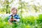 Cute little kid boy with Easter bunny ears celebrating traditional feast. Happy child eating chocolate rabbit fugure on