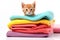 Cute little kitten on pile of colorful towels isolated on white background, Cute ginger kitten on pile of colorful towels,