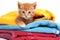 Cute little kitten on pile of colorful towels, isolated on white, Cute ginger kitten on pile of colorful towels, isolated on white