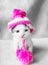 A cute little kitten in a pink knitted hat with pompoms looks at the camera. Cute little kitty in hat on a white carpet