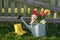 A cute little kitten sits on top of a watering can with flowers