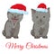 Cute little kittens in Santa hats vector flat illustration