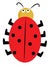 A cute little lady beetle vector or color illustration