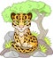 Cute little leopard, design funny illustration