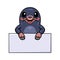 Cute little mole cartoon with blank sign