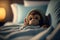 A cute little monkey lying in bed, ai generated