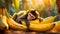 Cute Little Monkey Rests on a Bunch of Bananas - Generative Ai