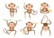 Cute little monkeys cartoon vector set in different poses