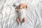 Cute Little Newborn Baby Napping In Bed With Rattle Toy, Top View