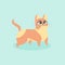 Cute little orange cat vector illustration. Curious kitten.