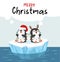 Cute little penguins wishing a Merry Christmas on ice floe