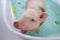 Cute little piggy floating in blue water