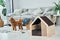 Cute little poodle puppy with pet booth indoors in the modern domestic room. Animal house