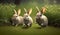 Cute little rabbits running on grass field yard in the morning with sunlight, enjoy lovely and happiness, bunny in fresh