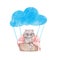 Cute little racoon on a balloon in watercolor. Baby racoon in the clouds, in a basket. Illustration forest animal. The drawing is