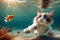 Cute little Ragdoll kitten swims in the sea underwater on the shore.