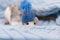 A cute little rat sits in a soft knitted blanket. The rodent is wearing a beautiful blue hat with a pompom. Close-up portrait of
